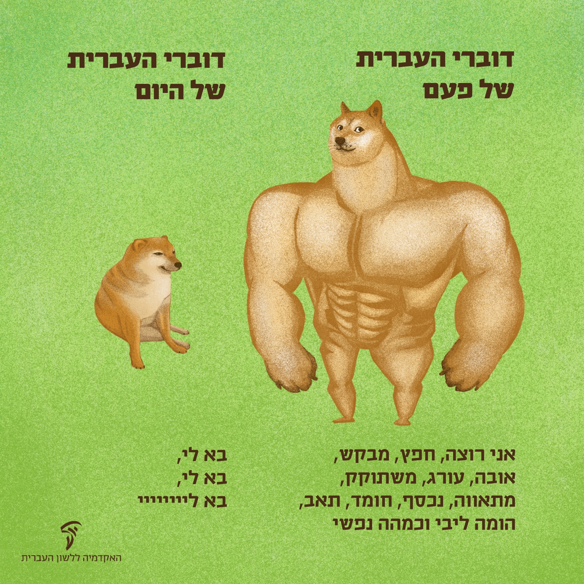 מה זה בא לי? באלי הוא אי... - האקדמיה ללשון העברית | Facebook