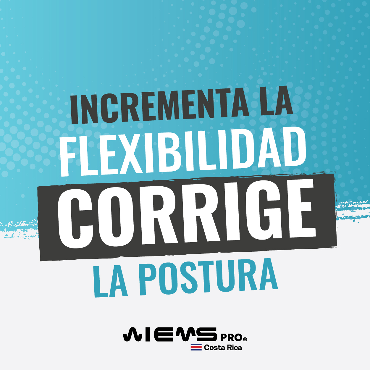 Wiemspro Costa Rica