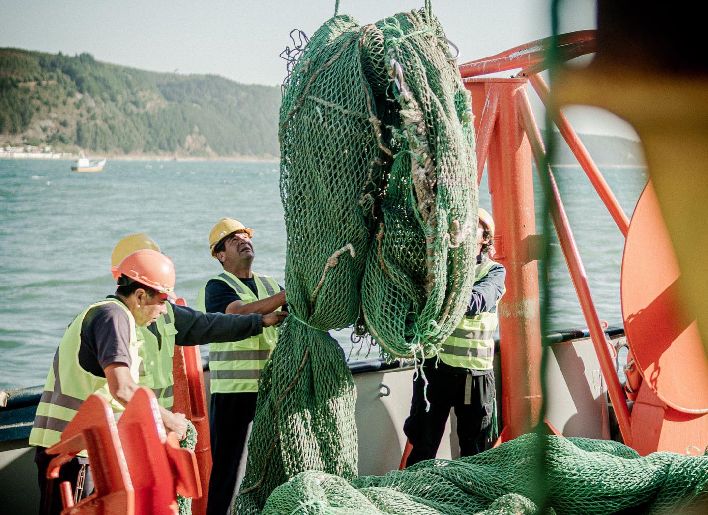 bureo fishing nets From to Decks to You Skateboard Bureo  NetPlus Material