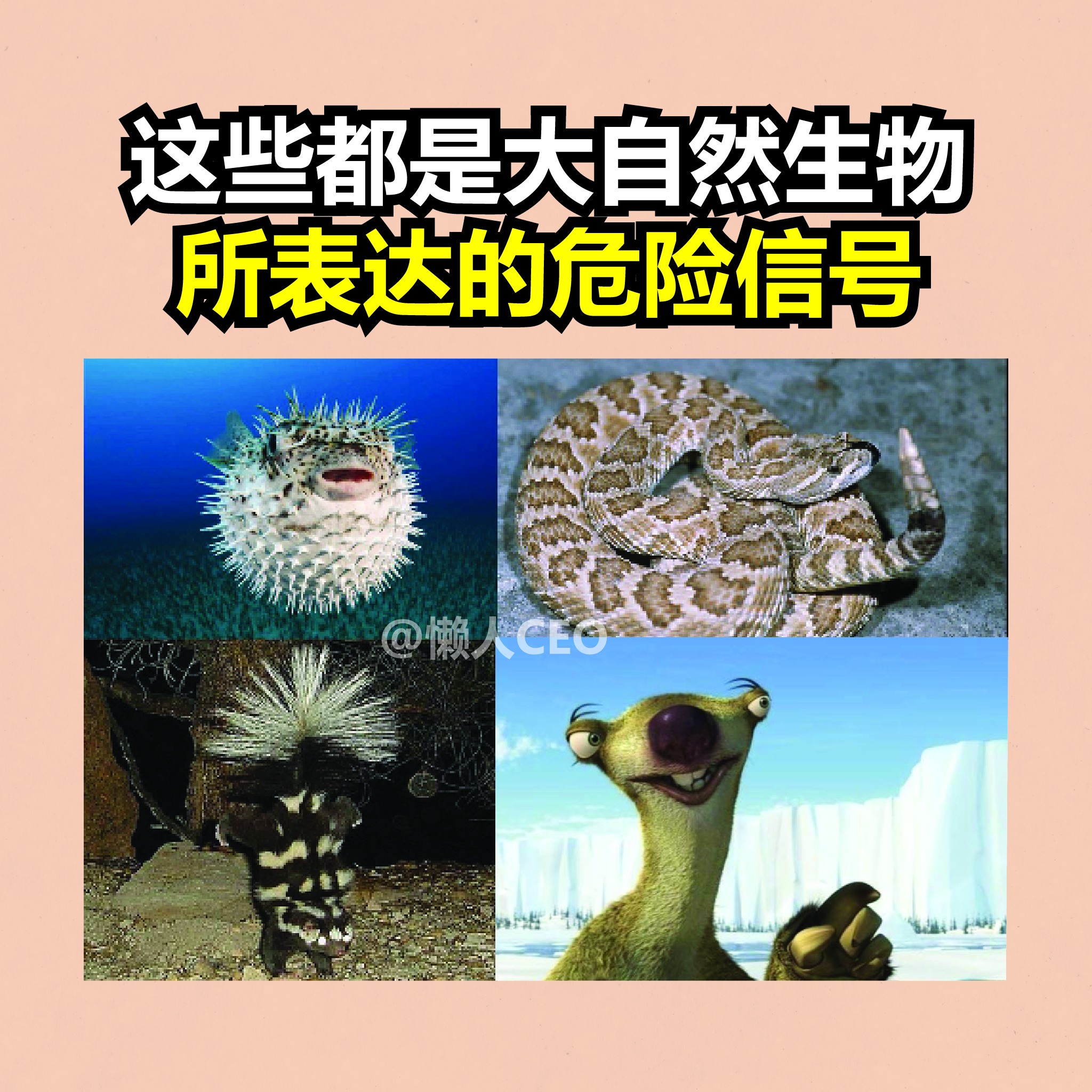 懒人CEO - 懂得都懂 #懒人ceo #memes #meme #梗图 #梗图系列 #梗圖 #梗圖系列 #搞笑 #爆笑 ...