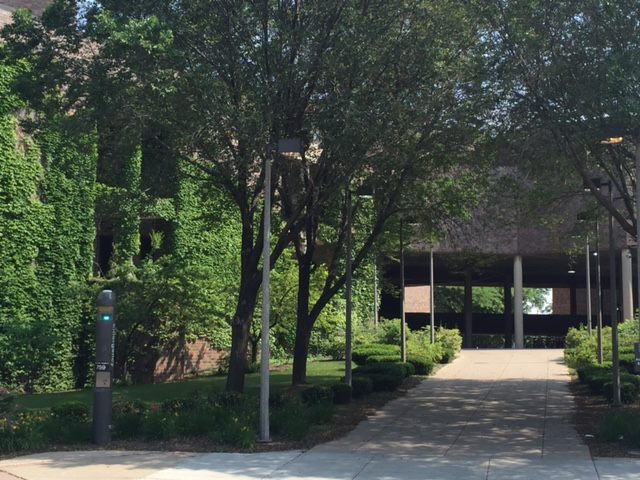 UIC Language... - UIC Language and Culture Learning Center