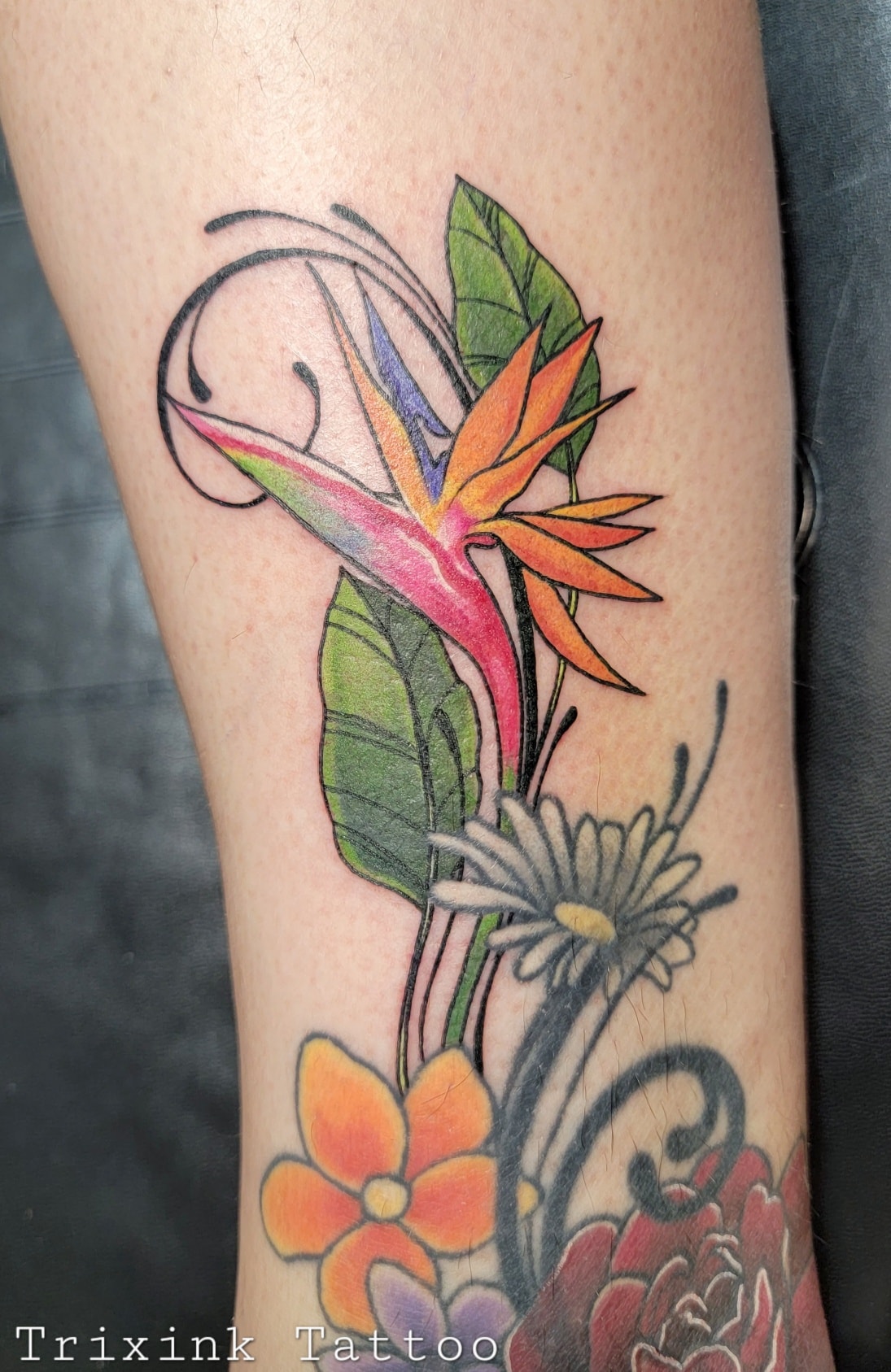 Tatouage Oiseau Du Paradis Fleur