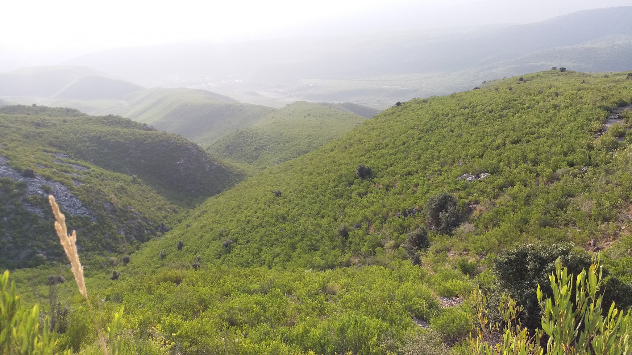 سب ڈویژن خسن خیل موسئ دارہ
