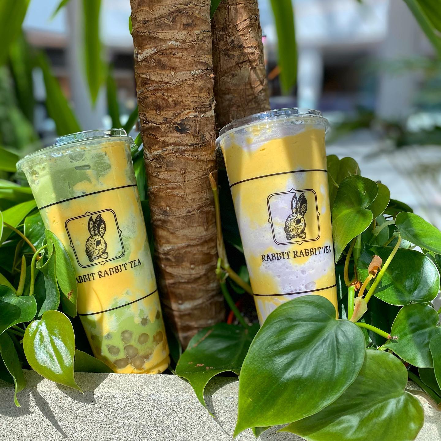 Happy National Bubble Tea... - Rabbit Rabbit Tea California