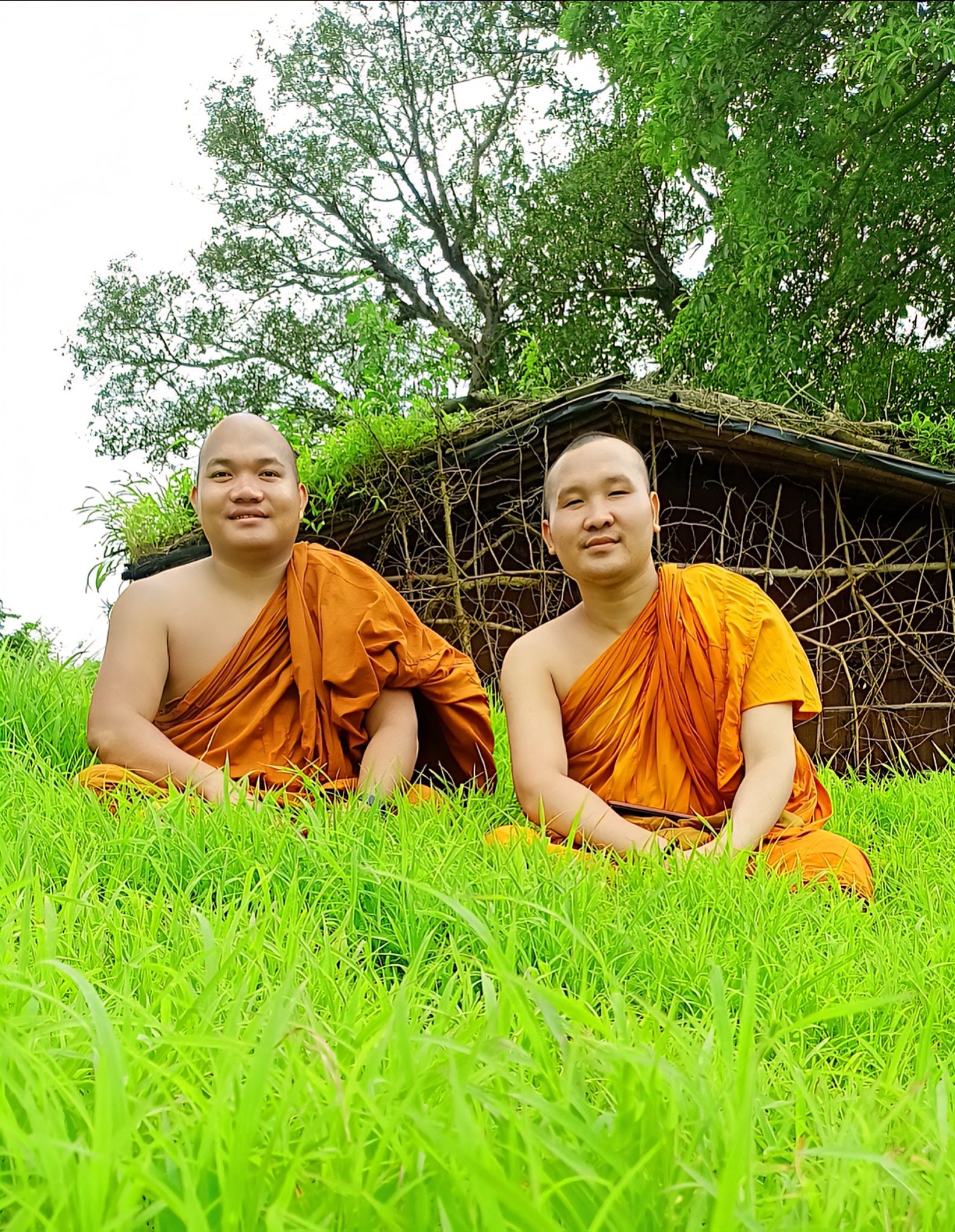 Lobsang Rinchen - “The mind is like a garden; what you... | Facebook