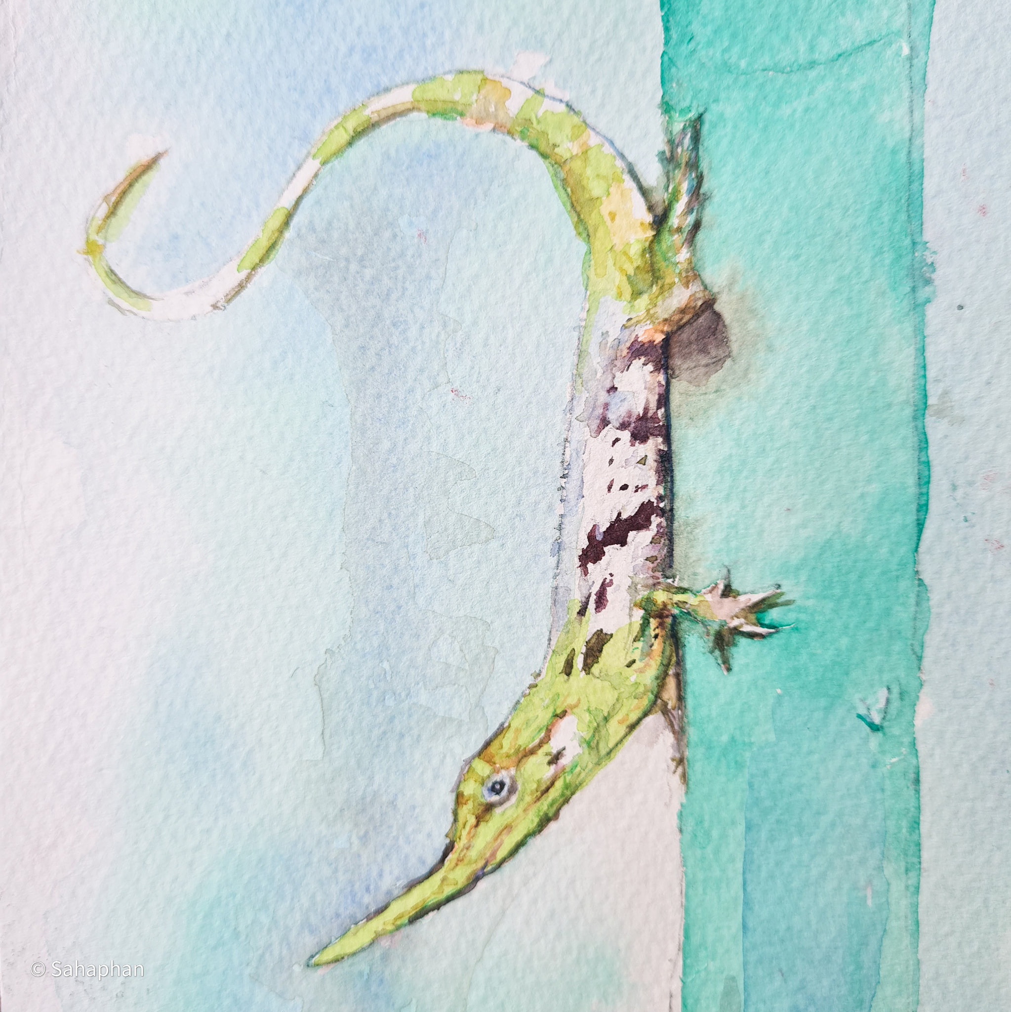 Art Therapy - Pinocchio Lizard Endangered Anolis... | Facebook