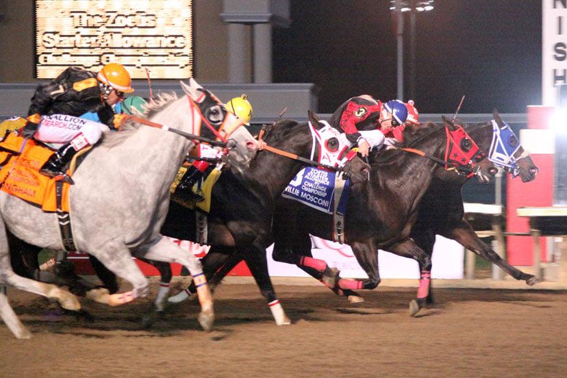 Q-Racing - Owners and trainers planning to compete at... | Facebook