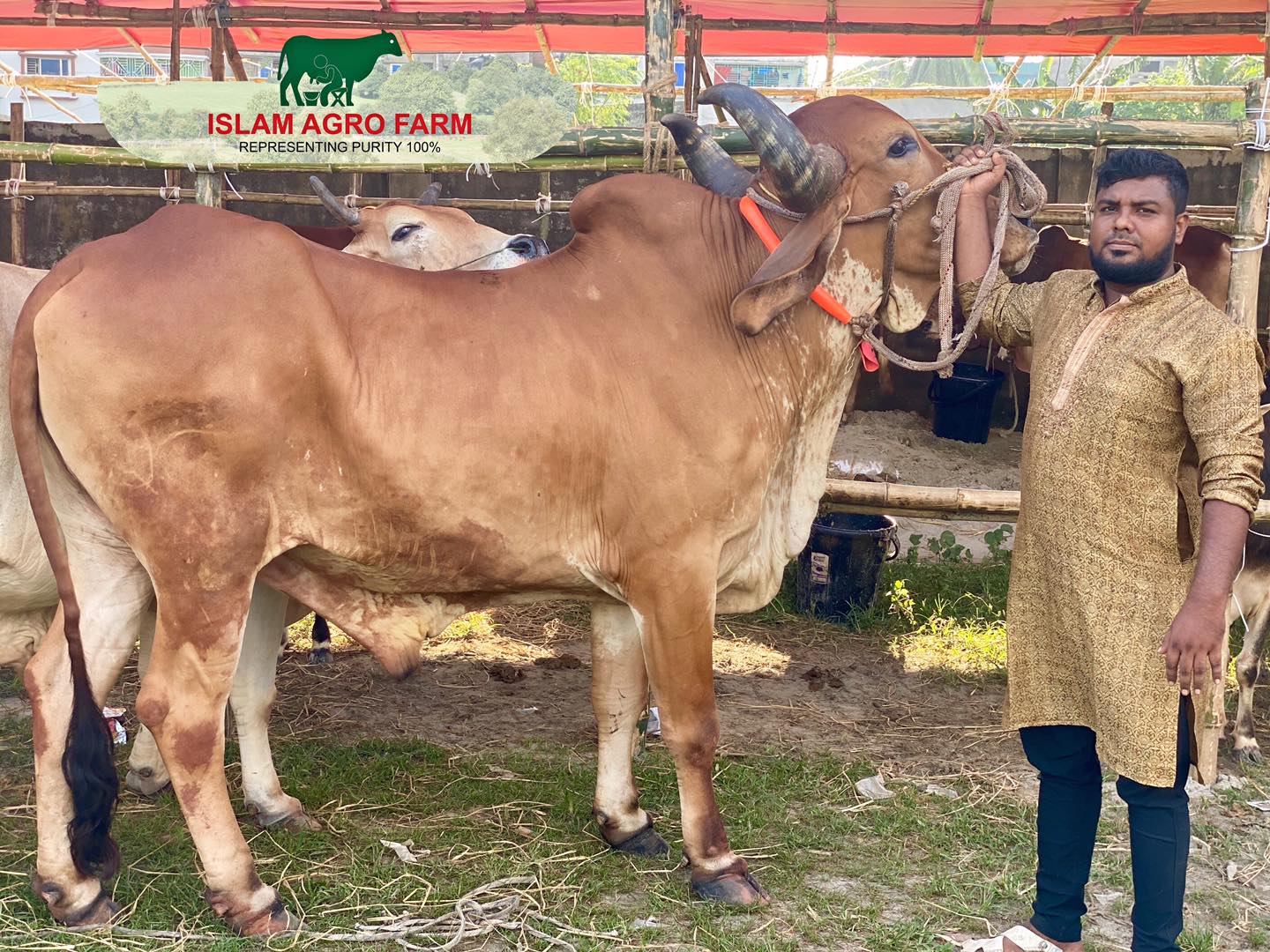 ISLAM Agro Farm | Dhaka