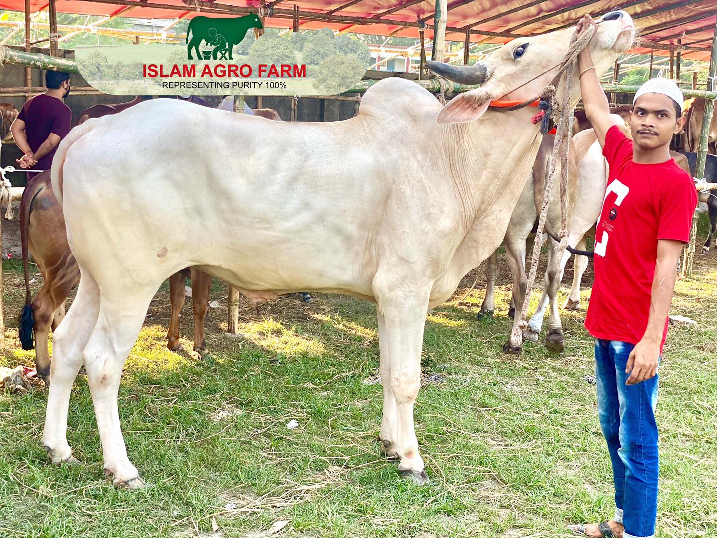 ISLAM Agro Farm | Dhaka