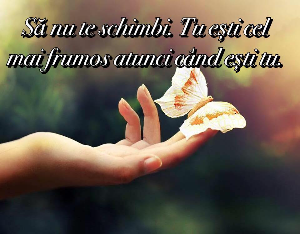 Fluturi