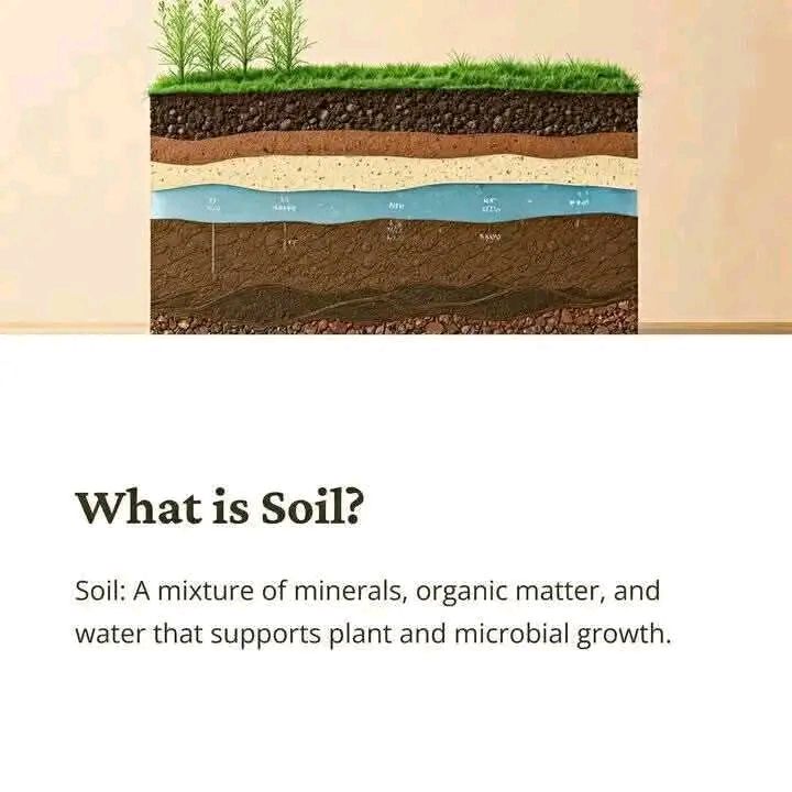 本 火山灰と土壌 Volcanic Ash and Soil