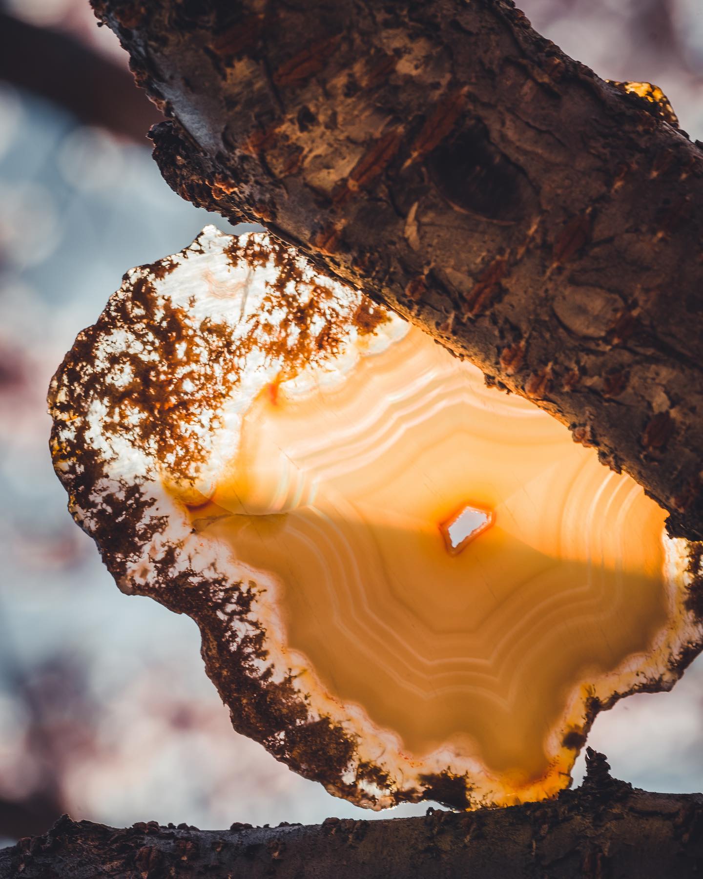 Sun beams... - Geology Rocks and Minerals - Pittsburgh
