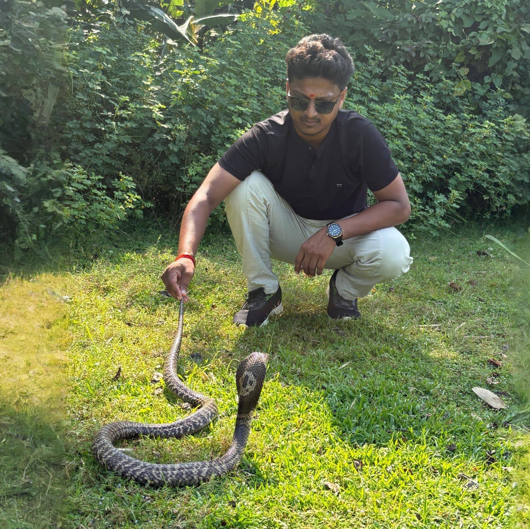 সকলের অনেকে প্রচেষ্টার পর হনুমানের বাচ্চা দুটিকে উদ্ধার করে তার মায়ের ...