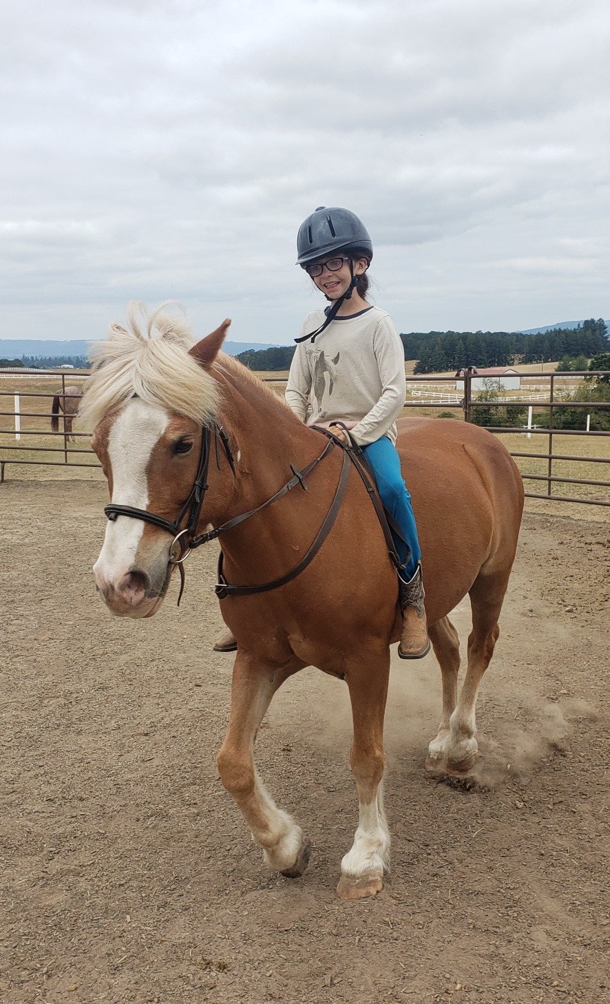 Hello Riding... - Custom Horse Training and Stable, Inc.