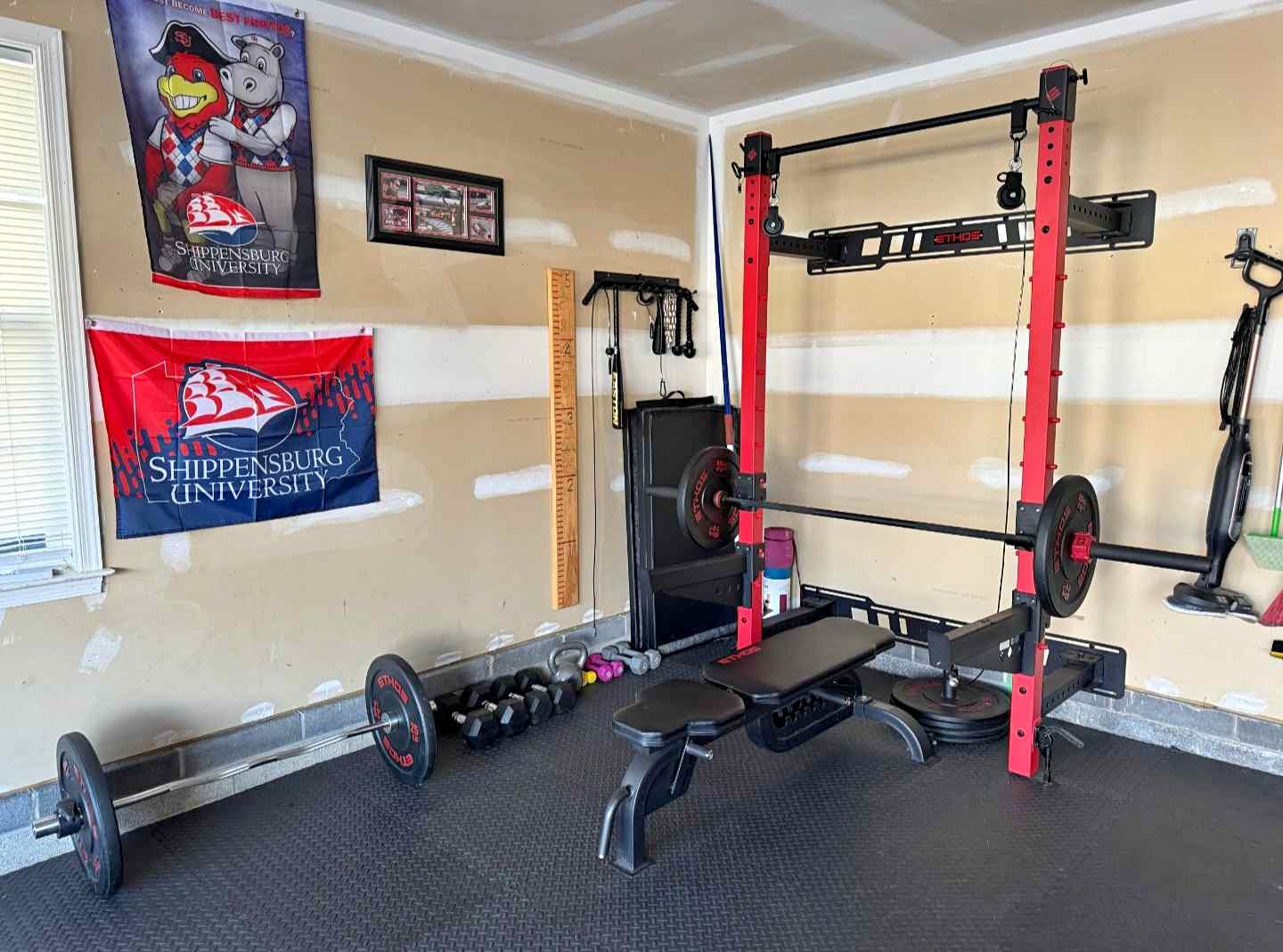 ETHOS Home Gym Folding Wall Rack - Weight Lifting Machines & Racks ...