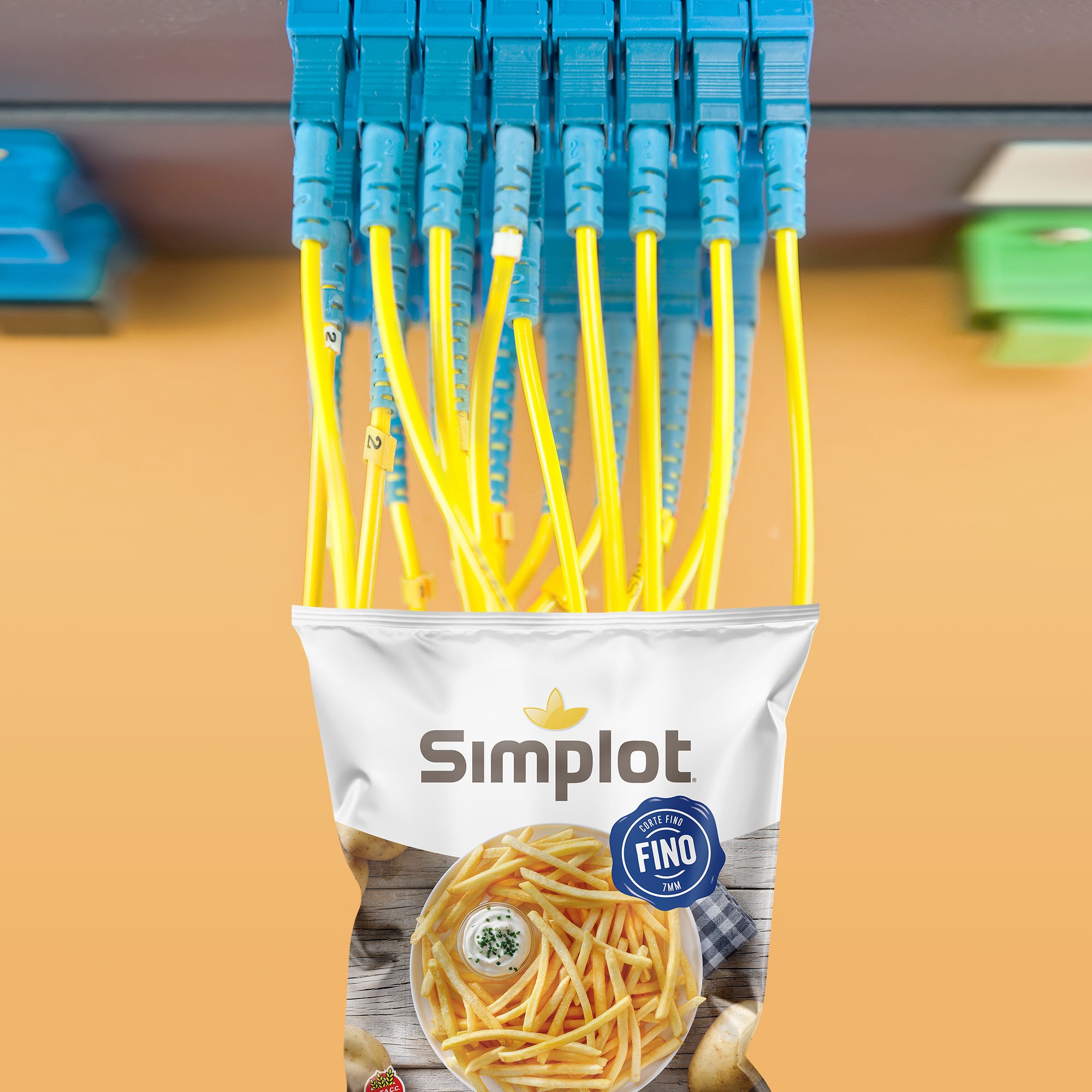 Simplot Chile
