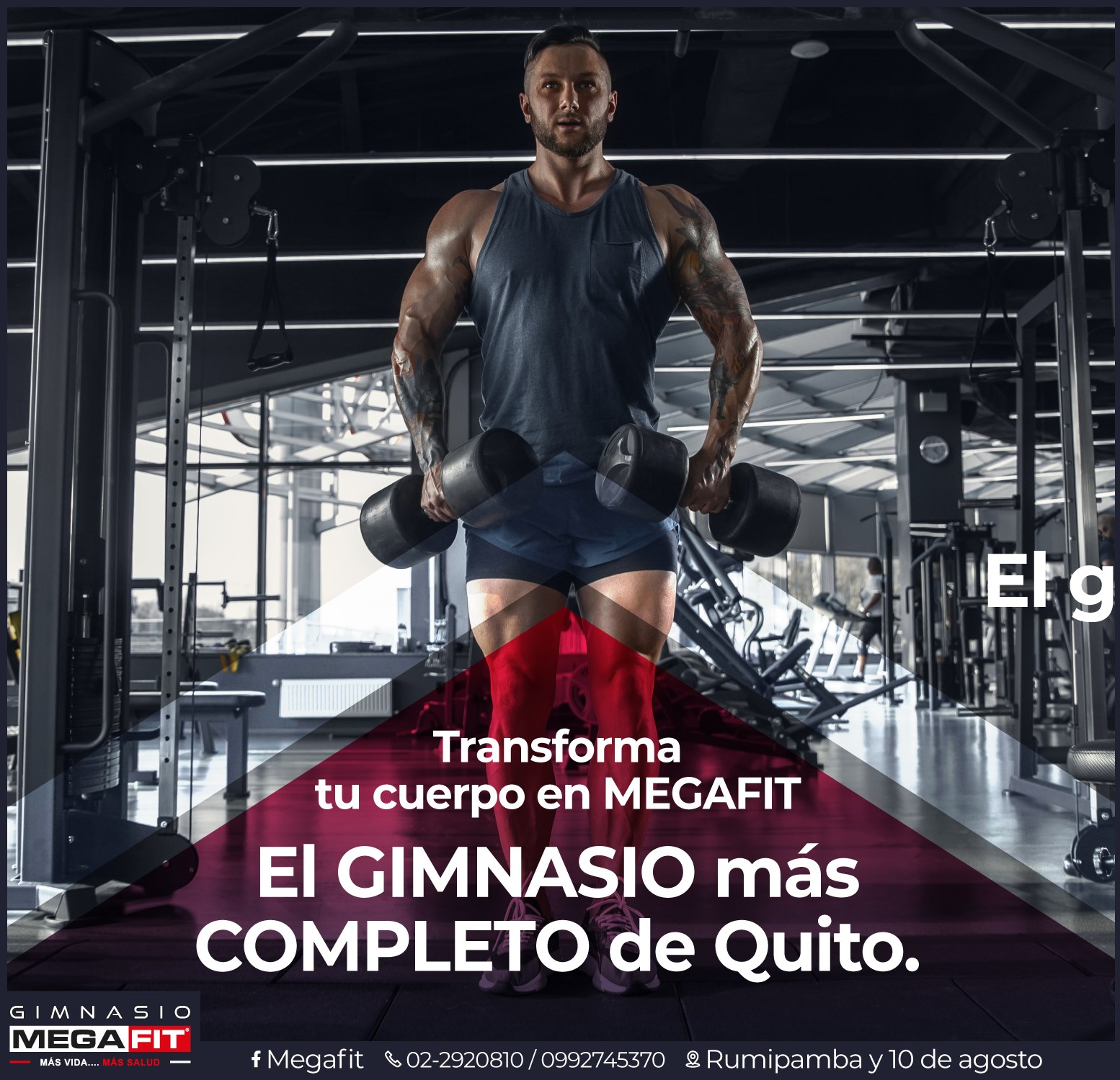 MEGAFIT - Ven a conocer nuestras amplias instalaciones,... | Facebook