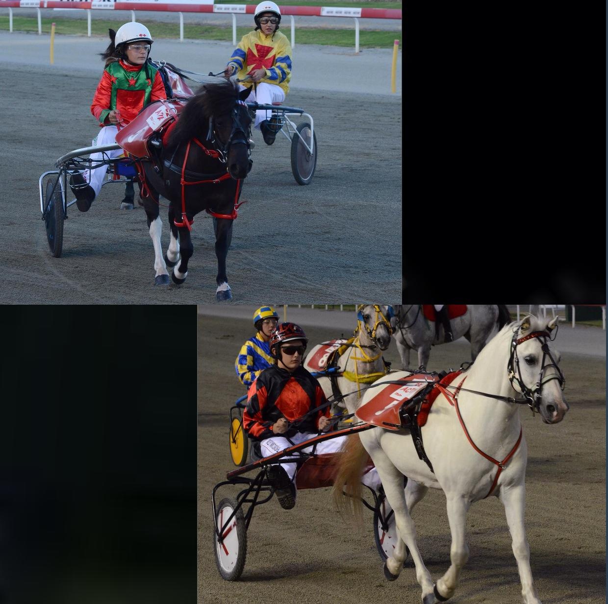 Harness Racing Western Australia
