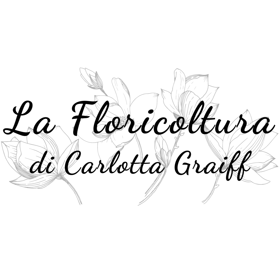 🍂 L’autunno porta nuove piante e tante idee per decorare balconi ...