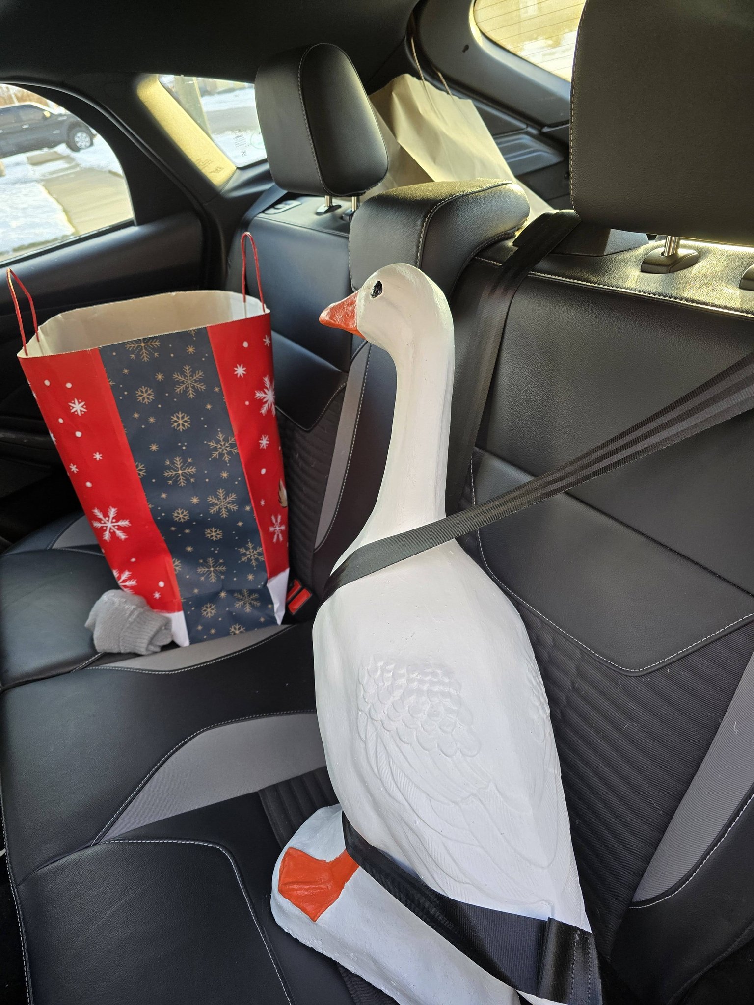The Porch Goose Club of America | My family always had a porch goose ...