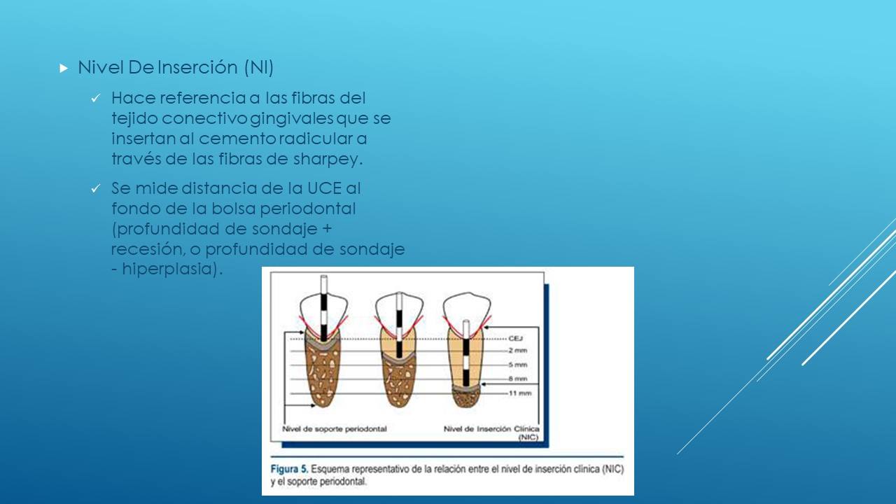 Facultad de Odontologia Universidad Autonoma de Chihuahua (UACH ...