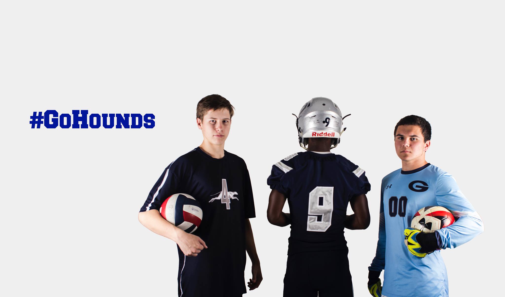 Greyhound TV