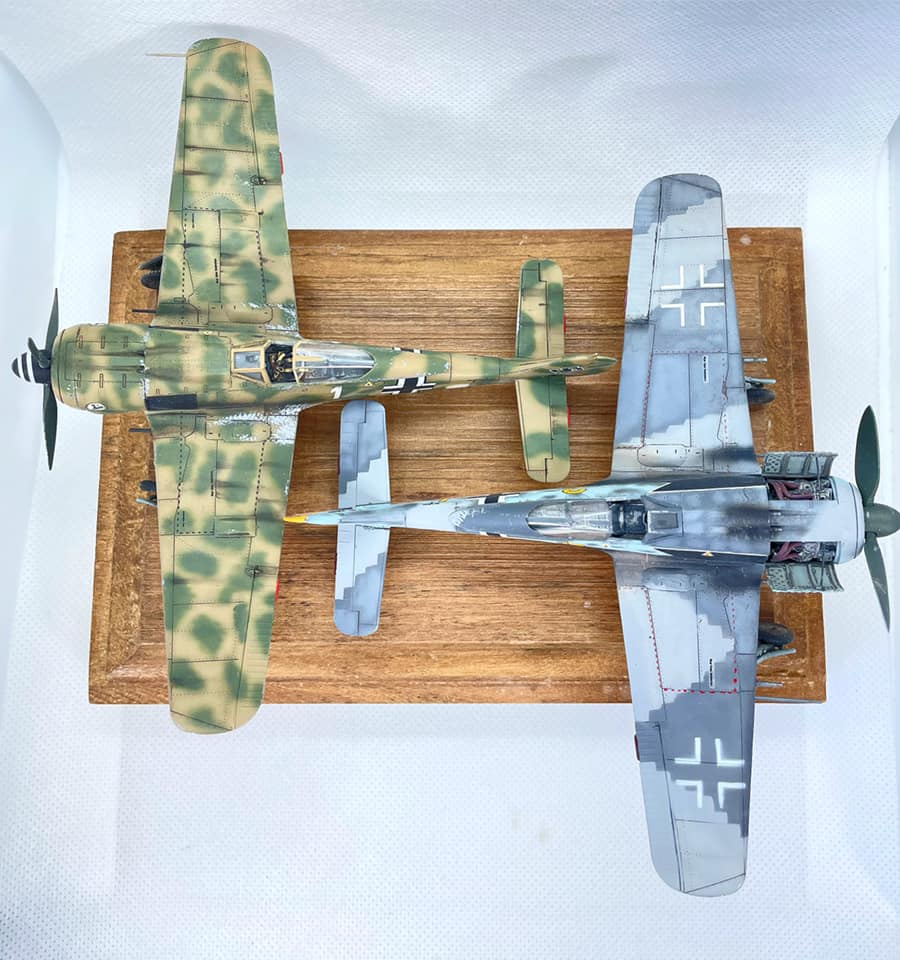 Focke-Wulf FW 190A-5, Eduard 1/72 Grünherz Limited Edition💚