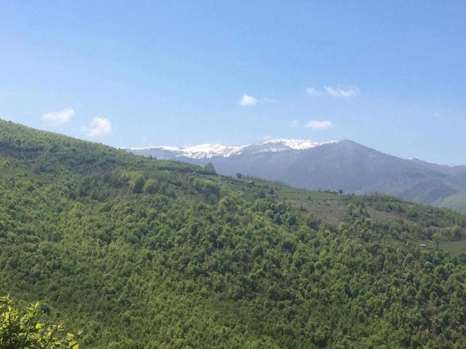 Green Theranda