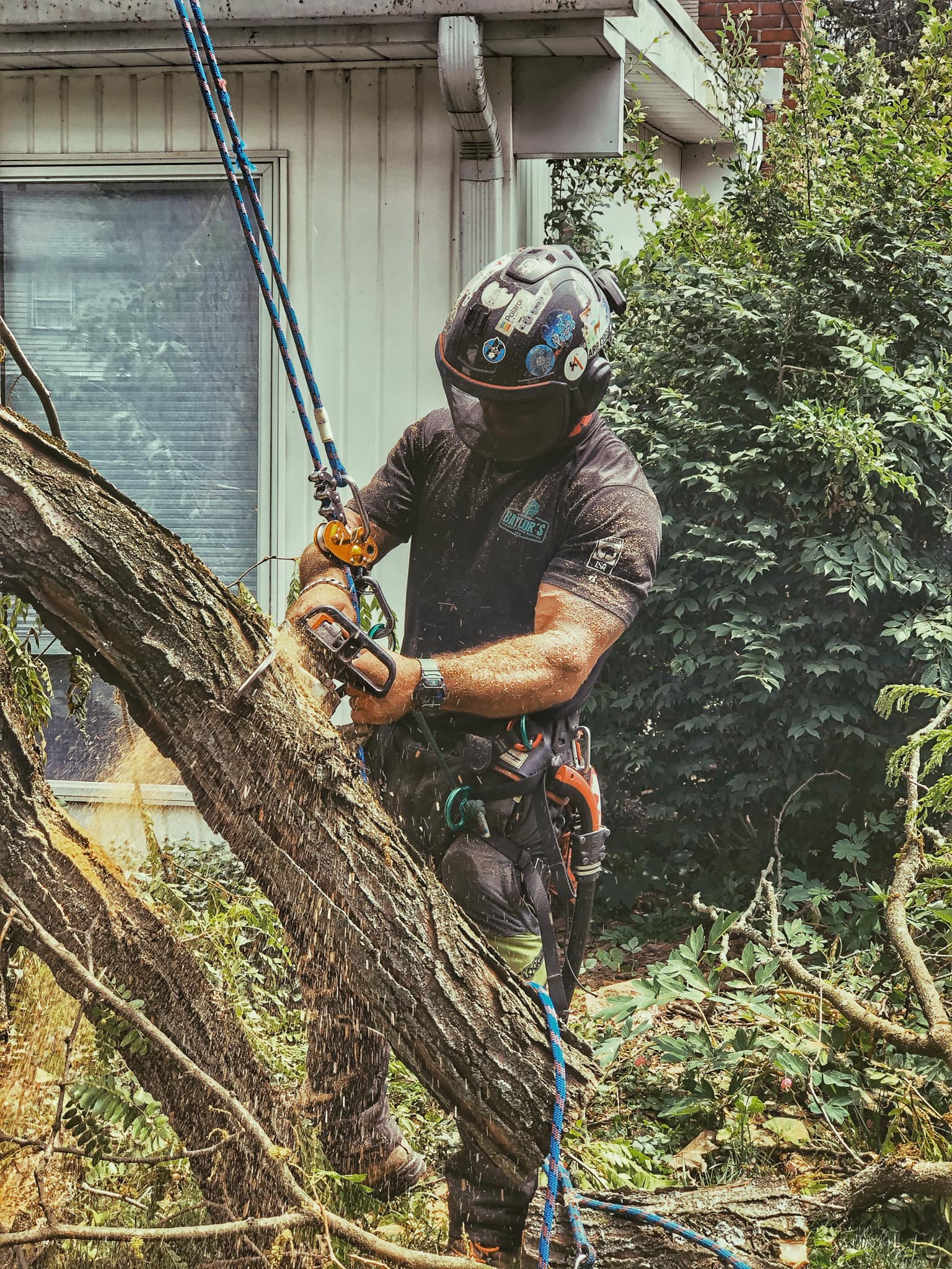 Baylor's Top Notch Tree Service, LLC | Orefield PA