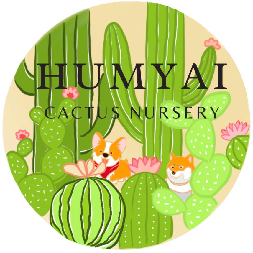 Humyai Cactus - Humyai Cactus added a new photo.