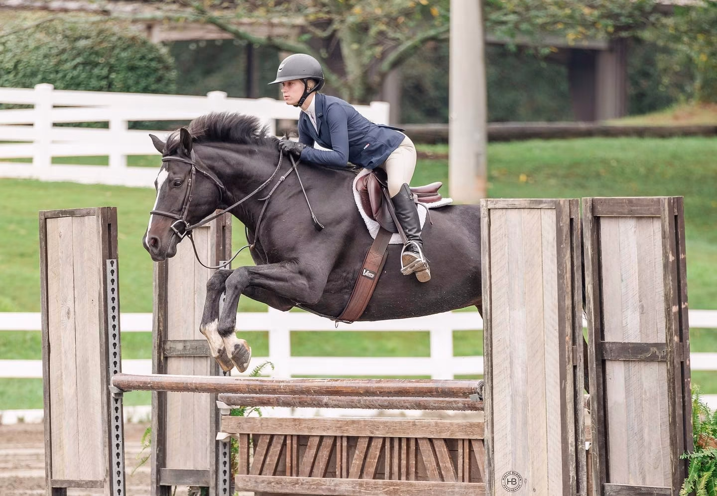 Falcon Ridge Stables added a new photo. - Falcon Ridge Stables
