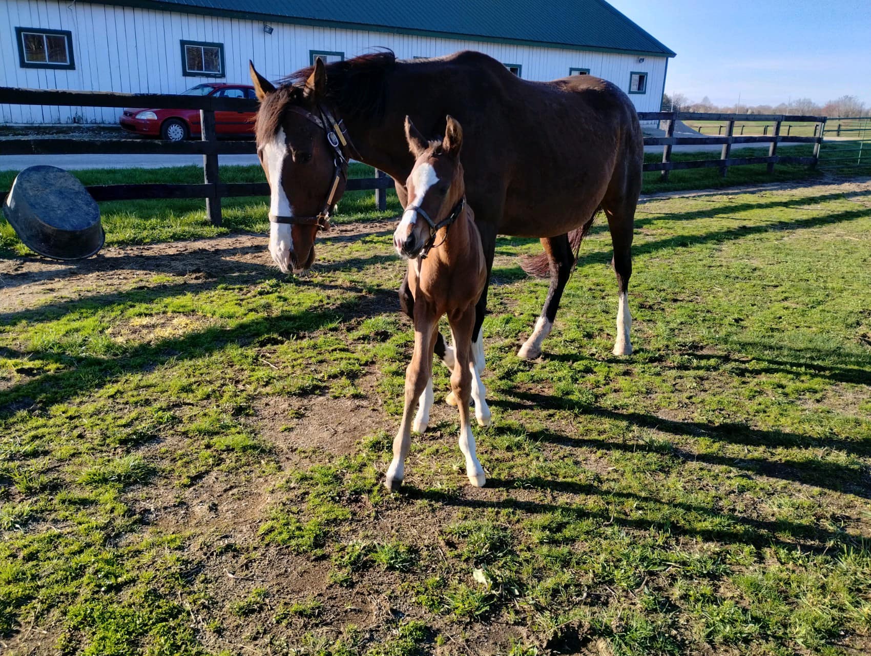 Greg Foley Racing Stable