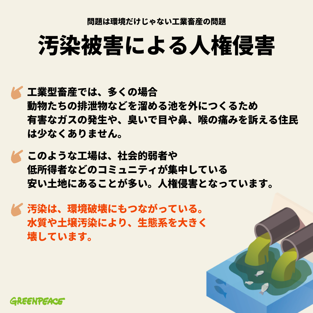 グリーンピース ジャパン 工業型畜産が地球環境と人権に 与える影響を考えてみましょう Facebook
