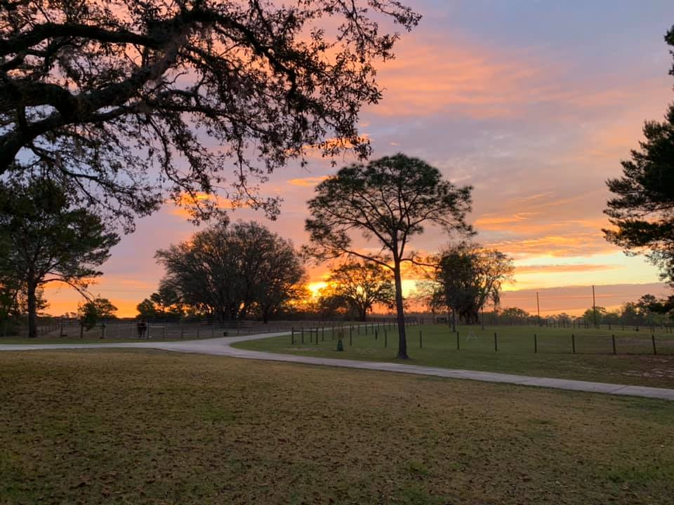 Oak Ridge Ranch - Oak Ridge Ranch added a new photo.