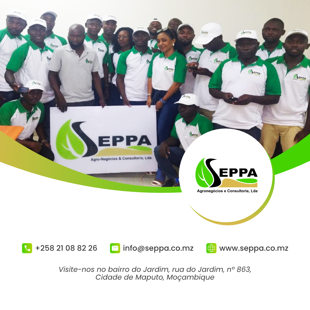 SEPPA - Agronegócios e Consultoria, Lda | Maputo