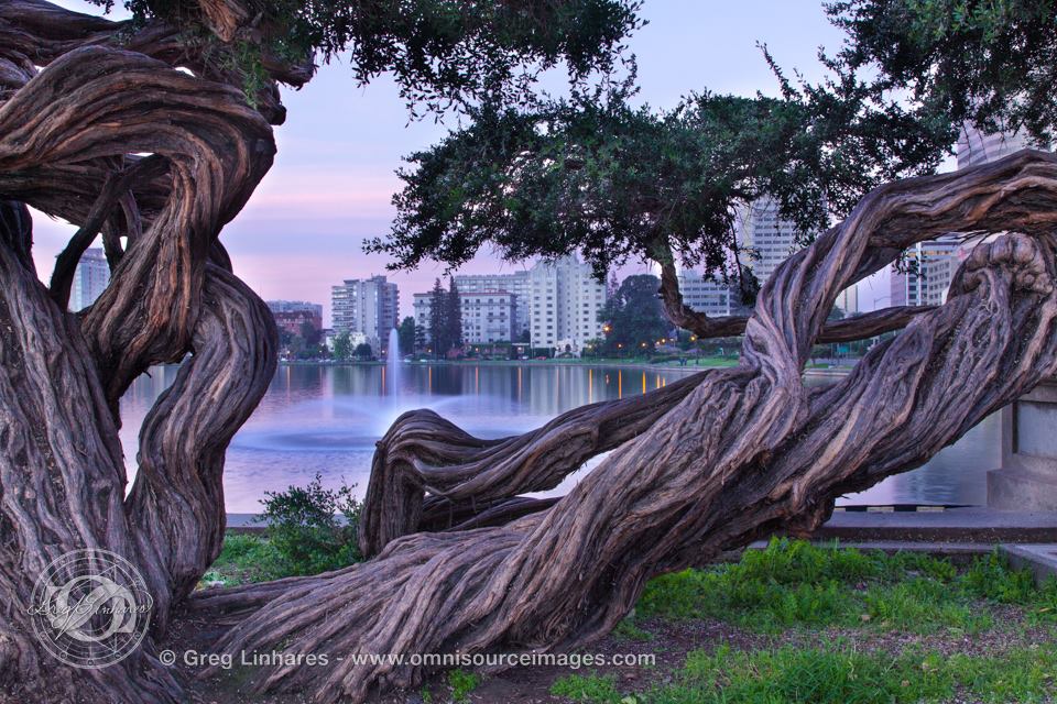 Adams Point Neighborhood Group | Oakland CA