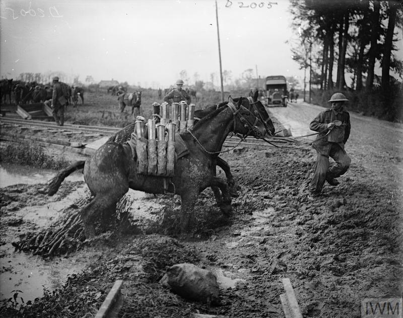 South Africans in WW1, WW2 and Korean War | Animals at War. Horses ...