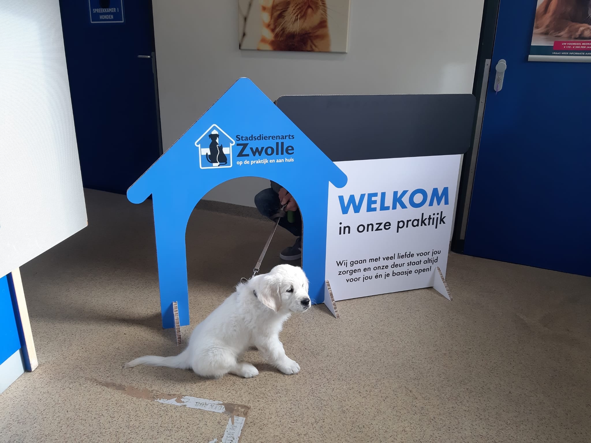 Welkom op onze praktijk Toebie! - Stadsdierenarts Zwolle