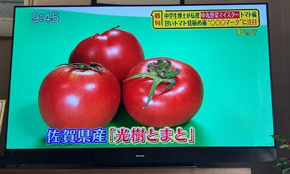 Jaさが 光樹とまと 部会 Posts Facebook
