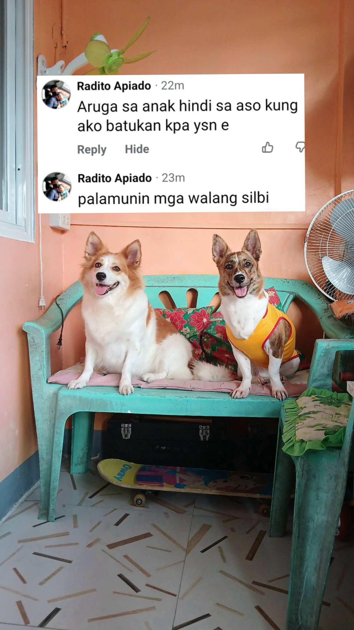 PROUD ASPIN LOVERS-PHILIPPINES | wala daw po kami silbi palamunin ...