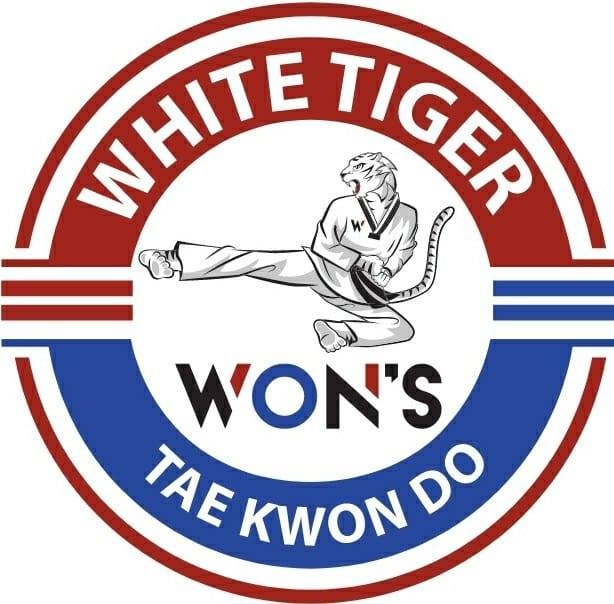 Tiger Jung's World Class Taekwondo on Reels