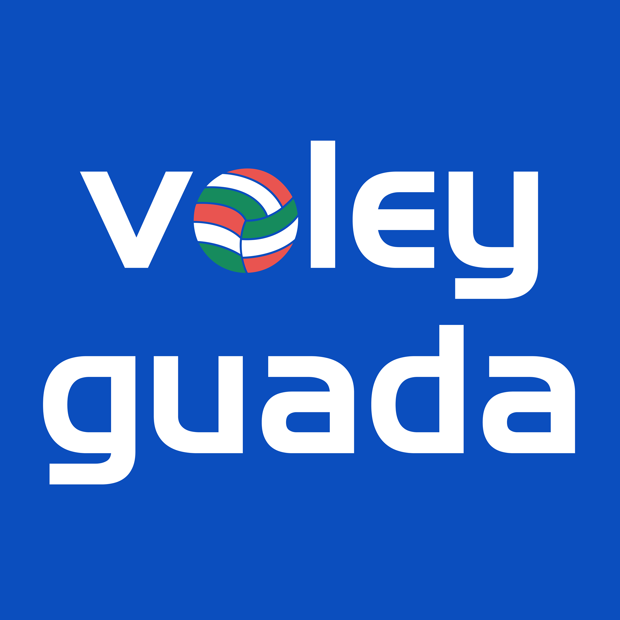 CD Voley Guada - Este sábado 14ª y última jornada de la Liga Regular en ...