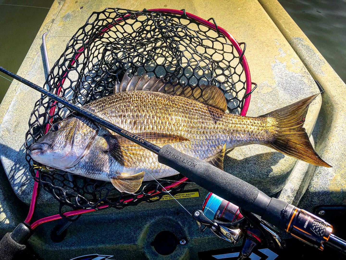 The new Daiwa Rebellion Rods... - Hobie Fishing Asia Pacific