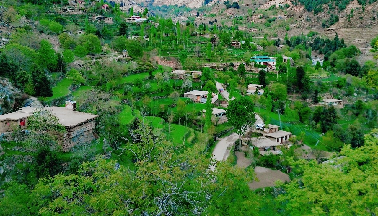 Saher - Great lady Api Faiza Yasin Sahiba | Facebook