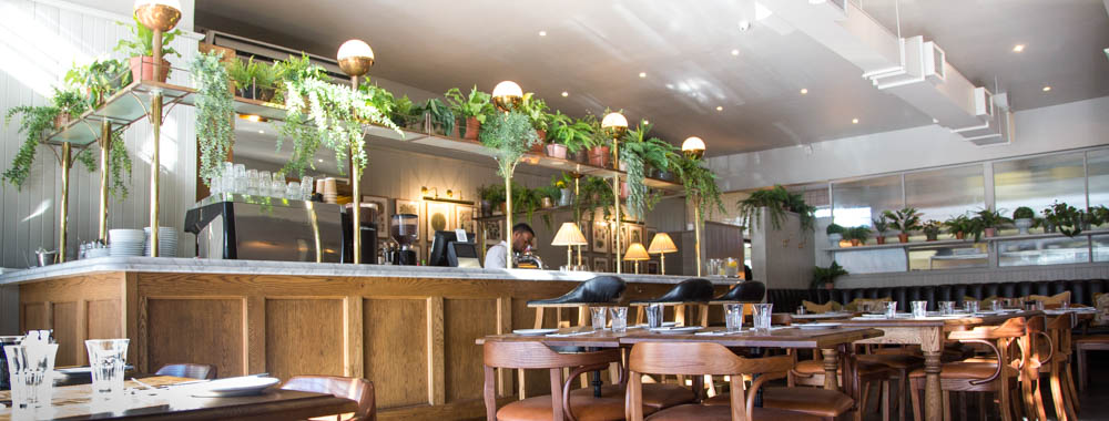 Botanicum At Ridgeback | Paarl