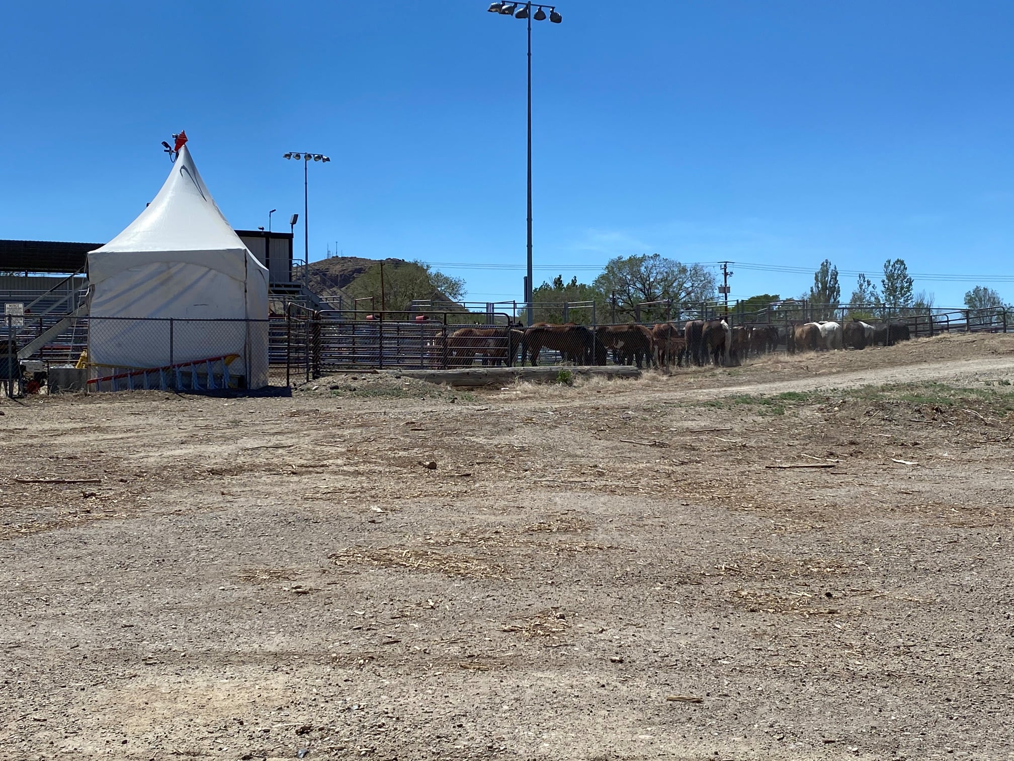 The stock has arrived for the 33rd... - City of Green River