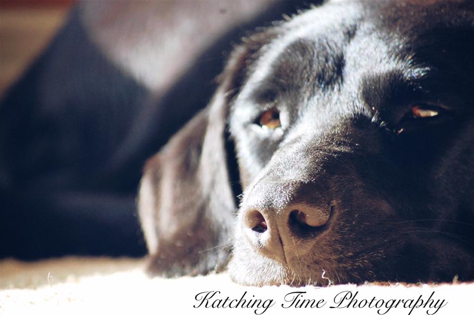 Katching Time Photography