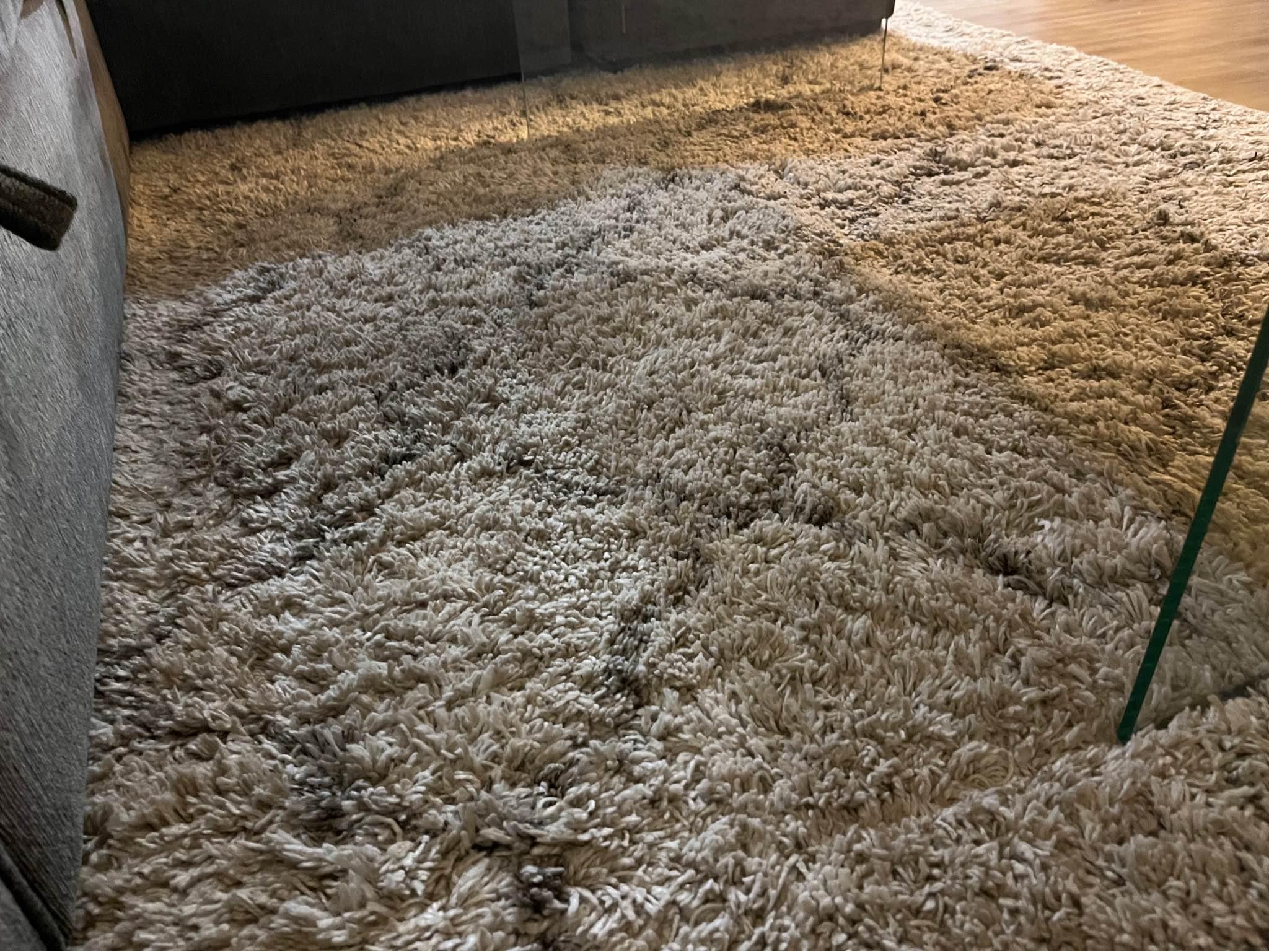 Urban Barn rug - Area Rugs - Vancouver, British Columbia | Facebook ...