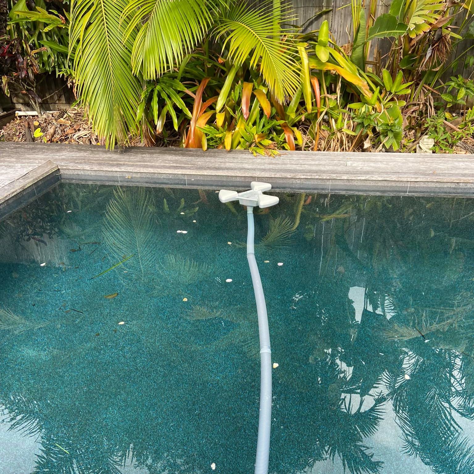 The benefits of a... - Dragonfly Floating Pool Cleaner | Facebook