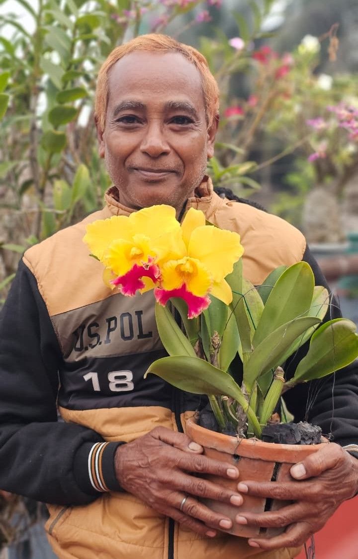 10/30/2024 Cattleya Tzeng-Wen Melody 'Ahmad Wijaya' Register with